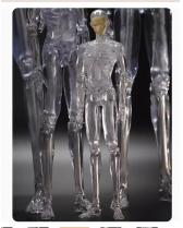 1/6 special size Crystal Boy Doll【OffLine】Yo-sd 38cm 1/6 special size boy doll bjd
